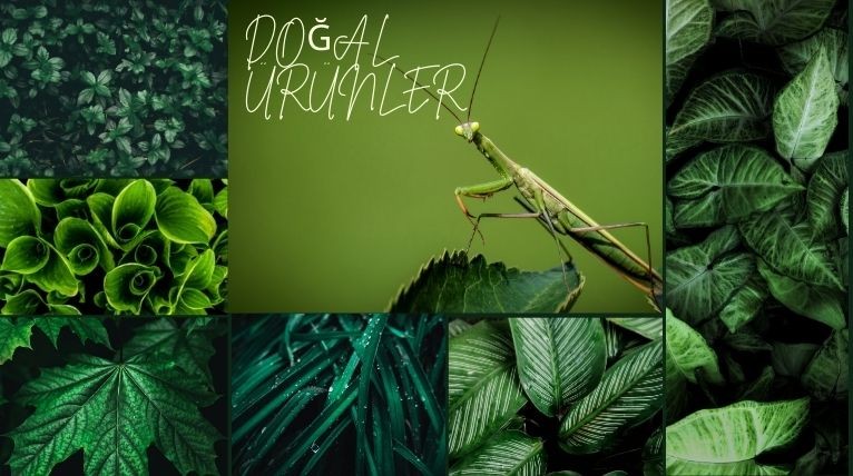 Örnek Banner Adı 123!